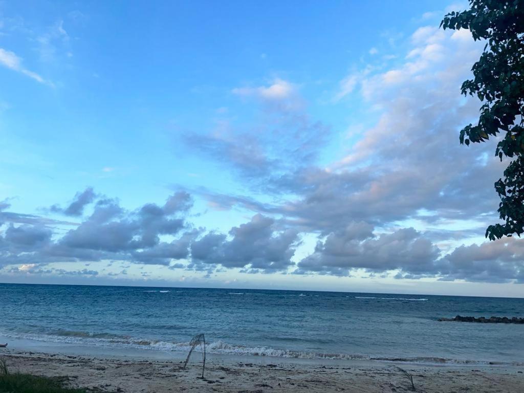 Sea Castles La Vue Lägenhet Montego Bay Exteriör bild